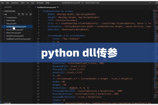 python dll传参