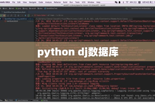 python dj数据库